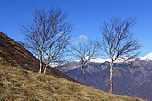 p1030750.jpg