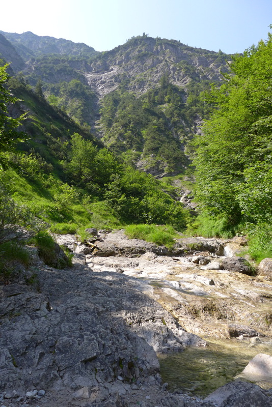 p1050613.jpg