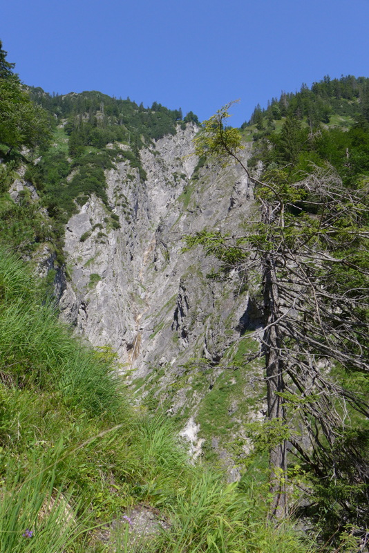 p1050616.jpg