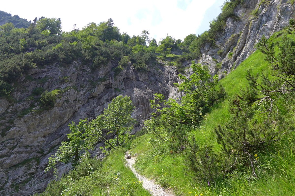 p1050619.jpg