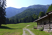 p1050608.jpg
