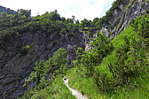 p1050619.jpg