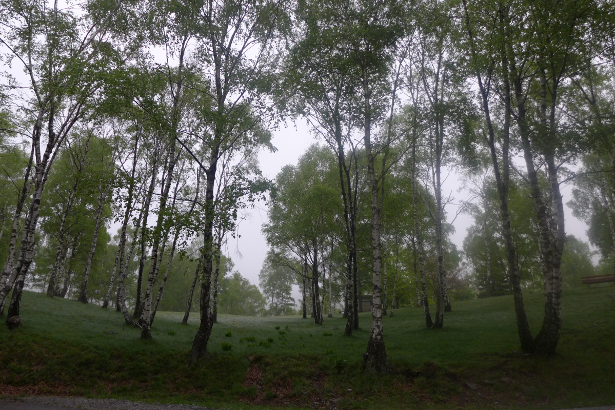 p1040828.jpg