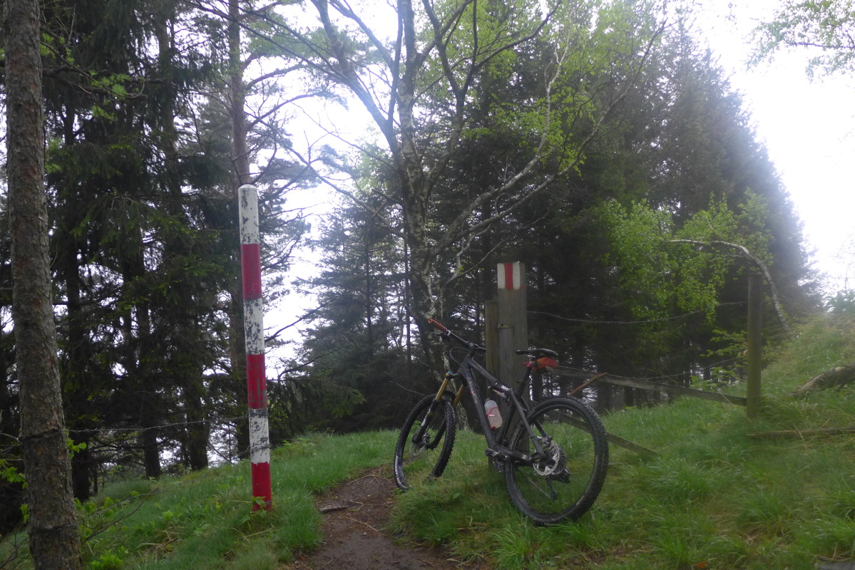 p1040831.jpg