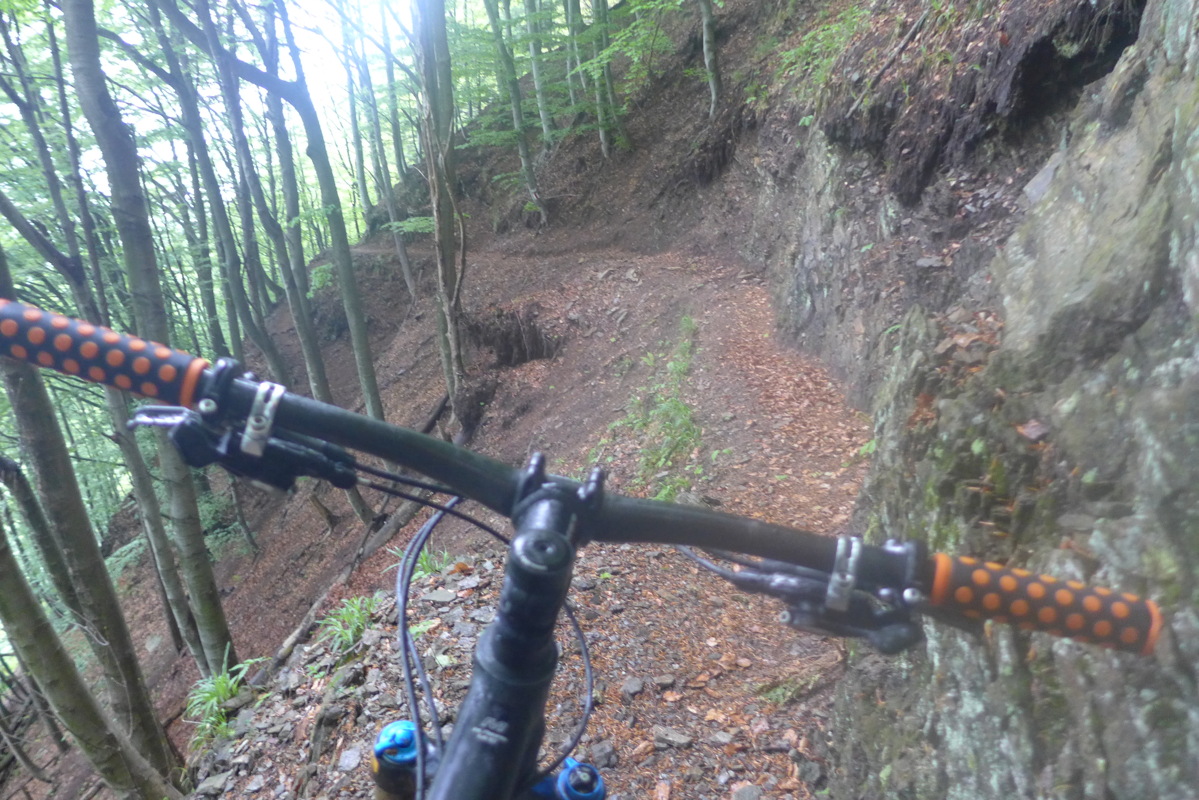 p1040833.jpg