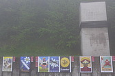 p1040783.jpg