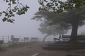 p1040784.jpg