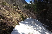 p1040813.jpg
