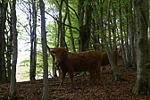 p1040816.jpg