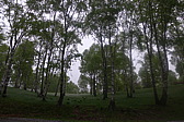 p1040828.jpg