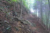 p1040832.jpg