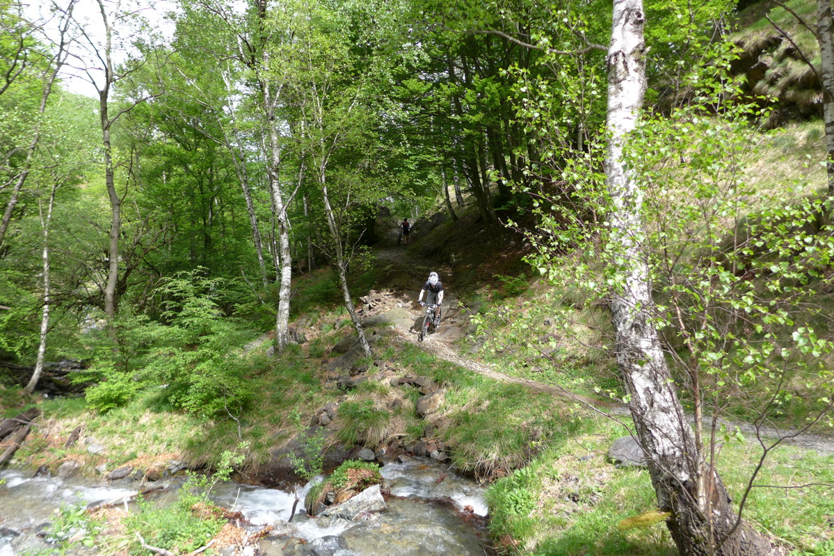 p1040850.jpg
