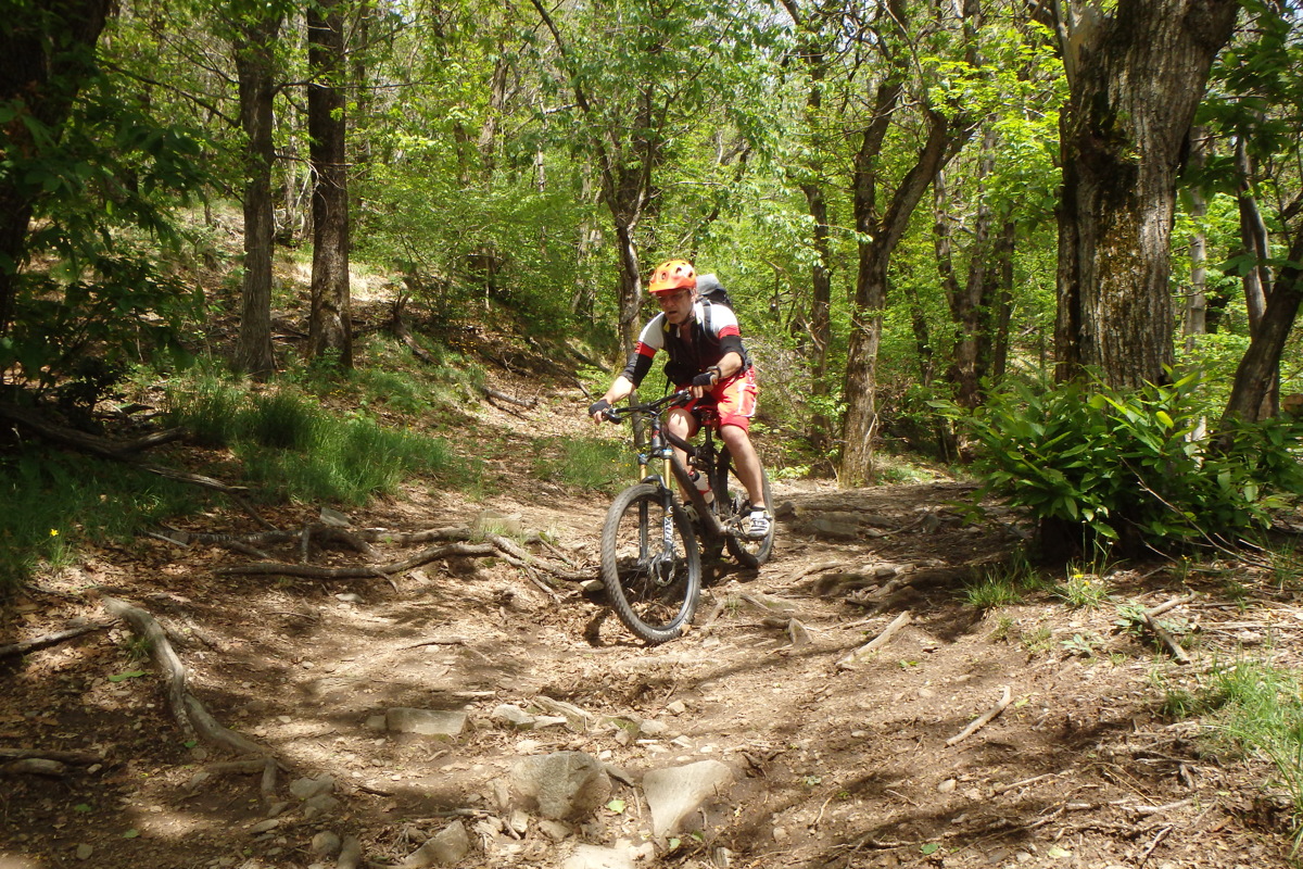 p1040867a.jpg