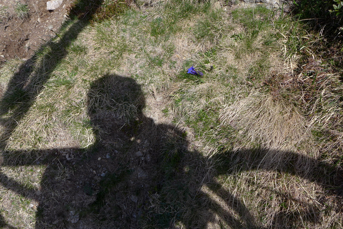 p1040891.jpg