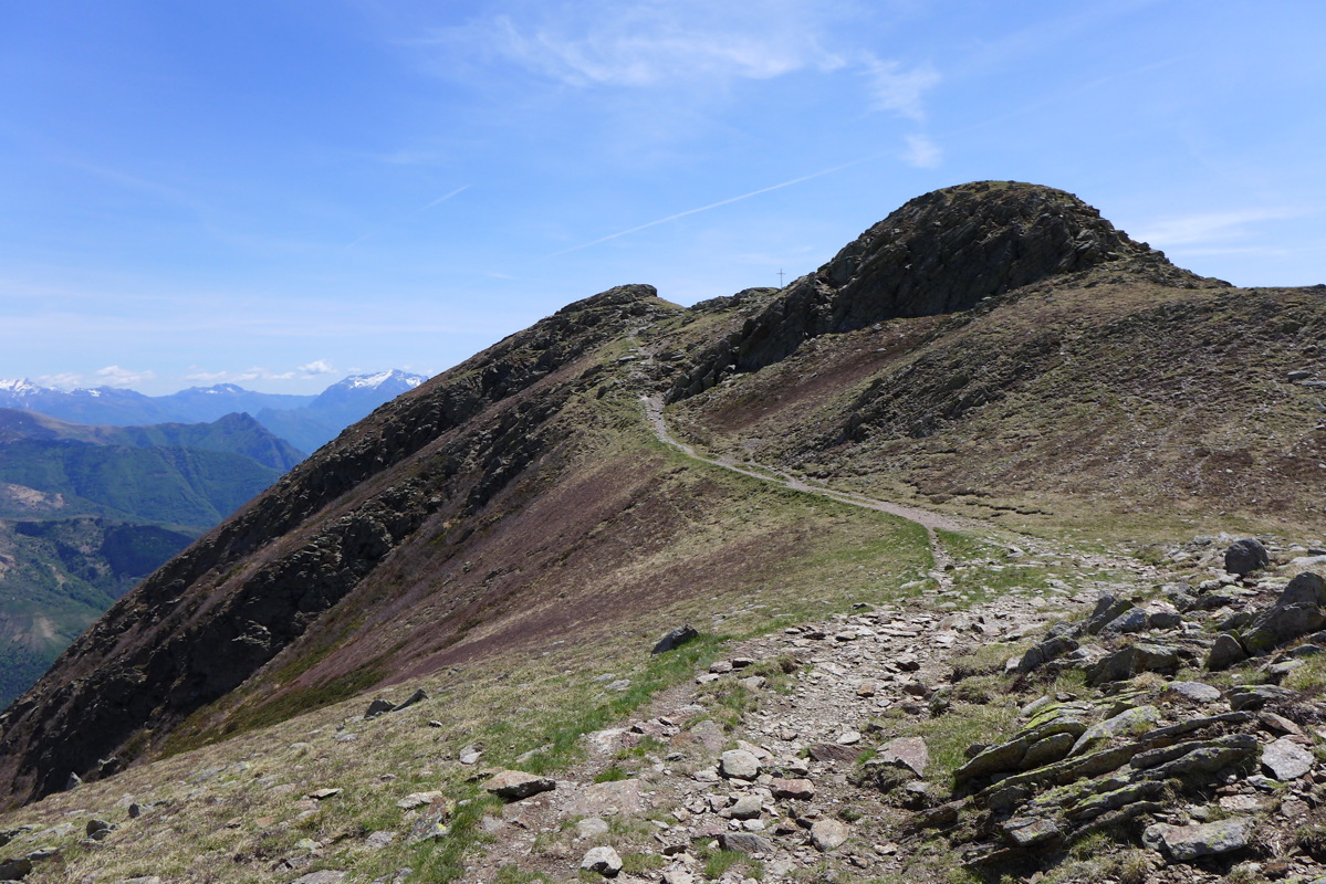 p1040893.jpg