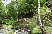 p1040850.jpg