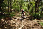 p1040867a.jpg