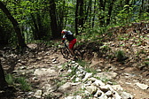 p1040868a.jpg