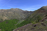 p1040890.jpg