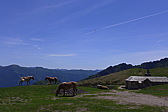 p1040898.jpg