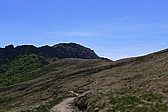 p1040900.jpg
