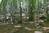 p1040902.jpg