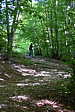 p1040917.jpg