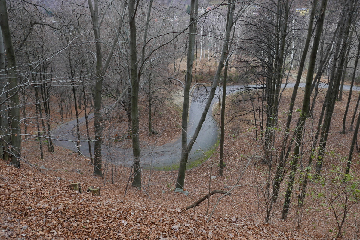 p1000065.jpg