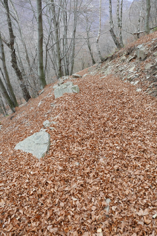 p1000068.jpg