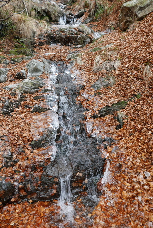 p1000069.jpg