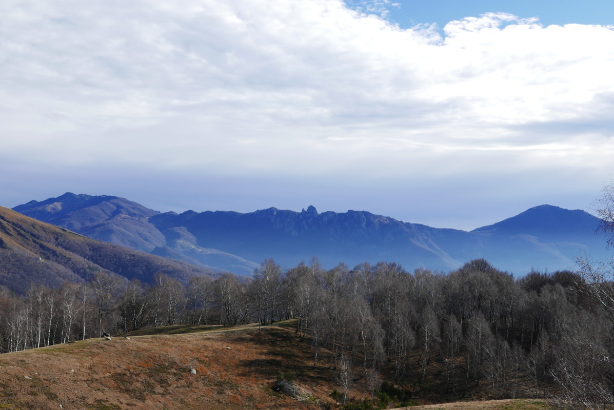 p1000071.jpg