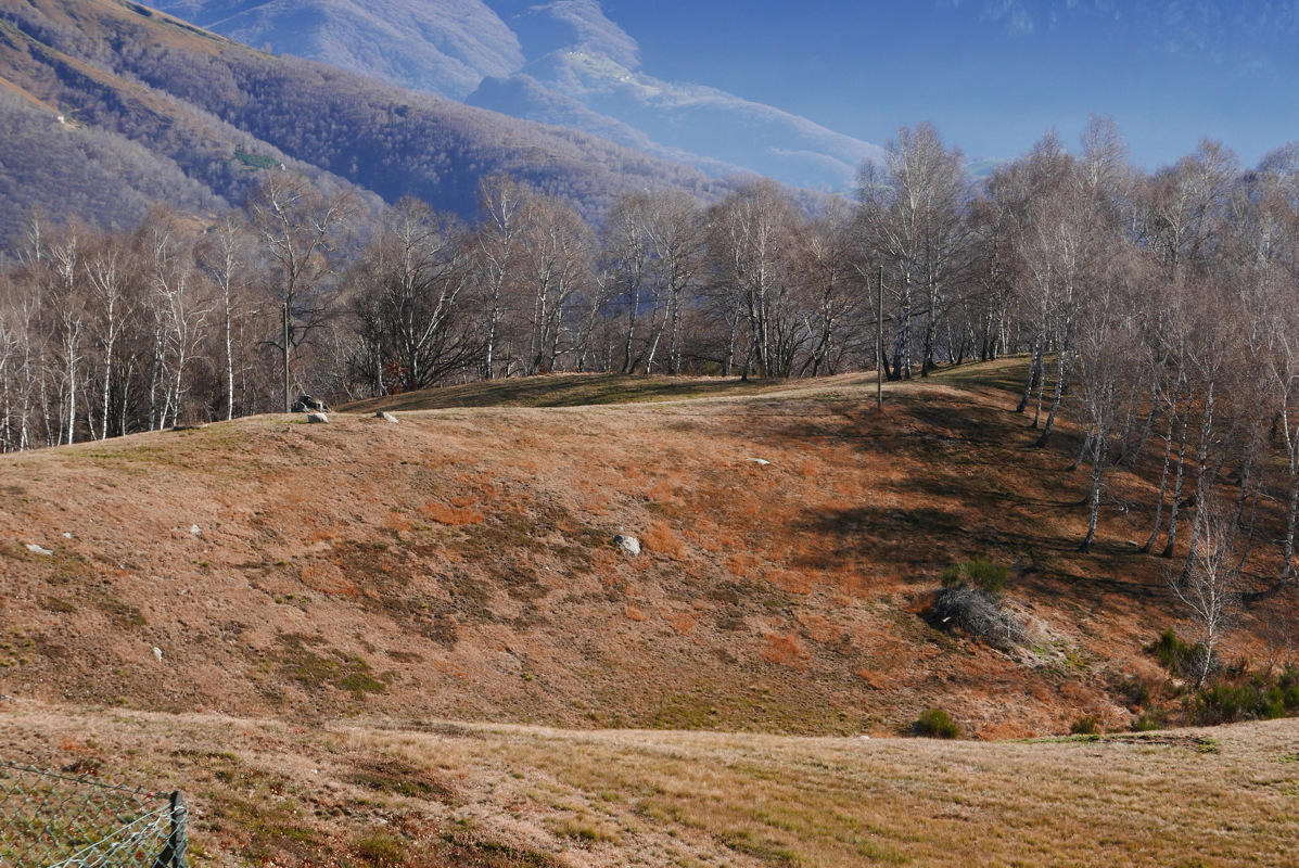 p1000072.jpg