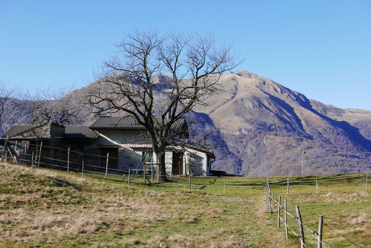 p1000074.jpg
