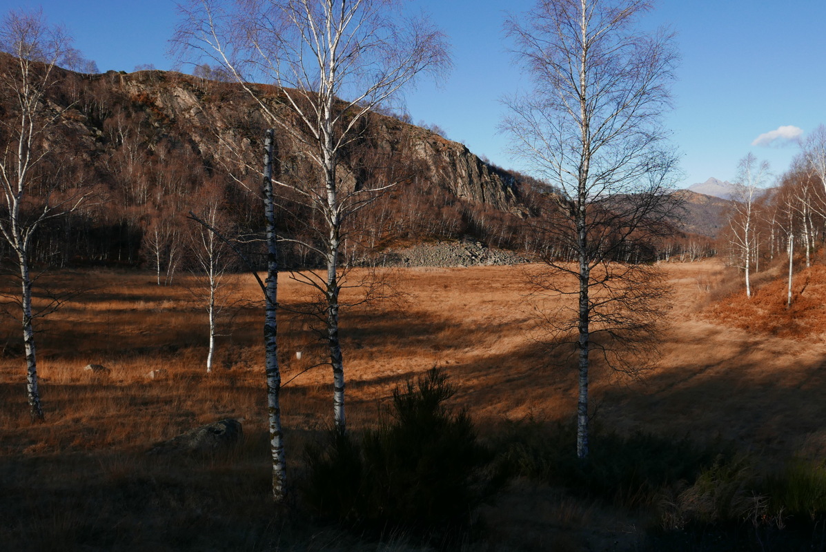 p1000083.jpg