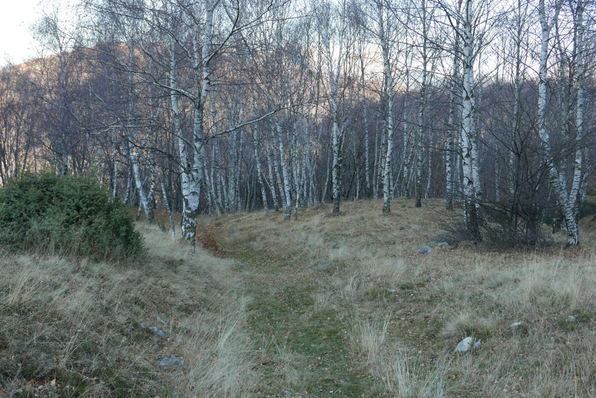 p1000086.jpg
