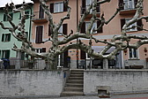 p1000064.jpg