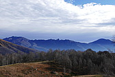 p1000071.jpg