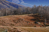 p1000072.jpg