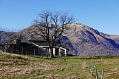 p1000074.jpg