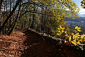 p1000079.jpg