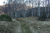 p1000086.jpg