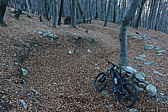 p1000087.jpg