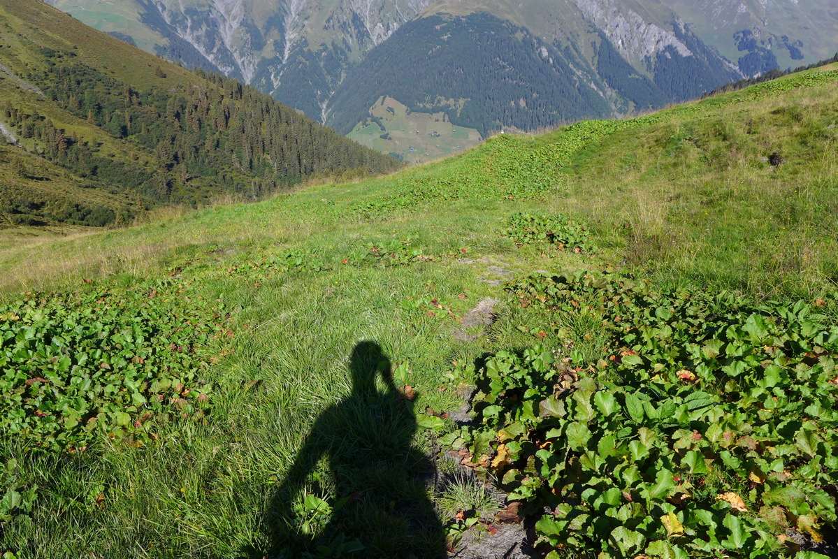p1050953.jpg