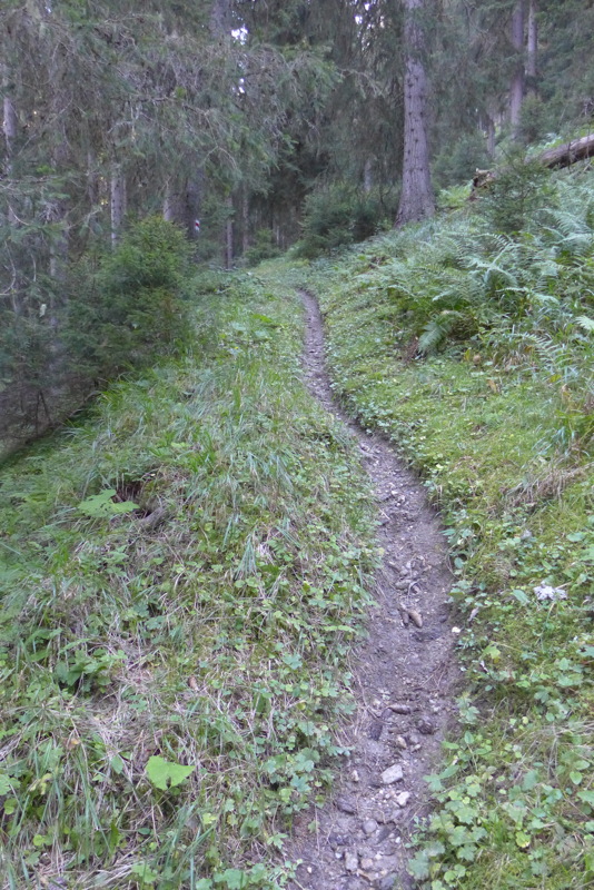 p1050954.jpg