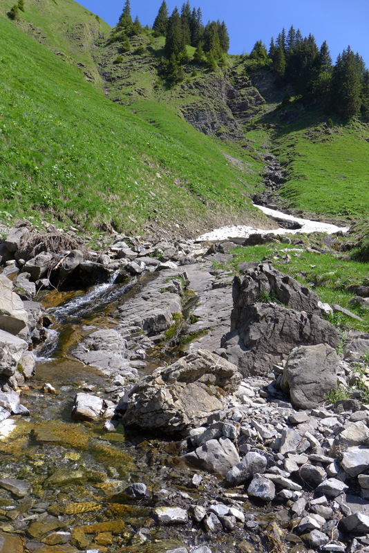 p1050188.jpg