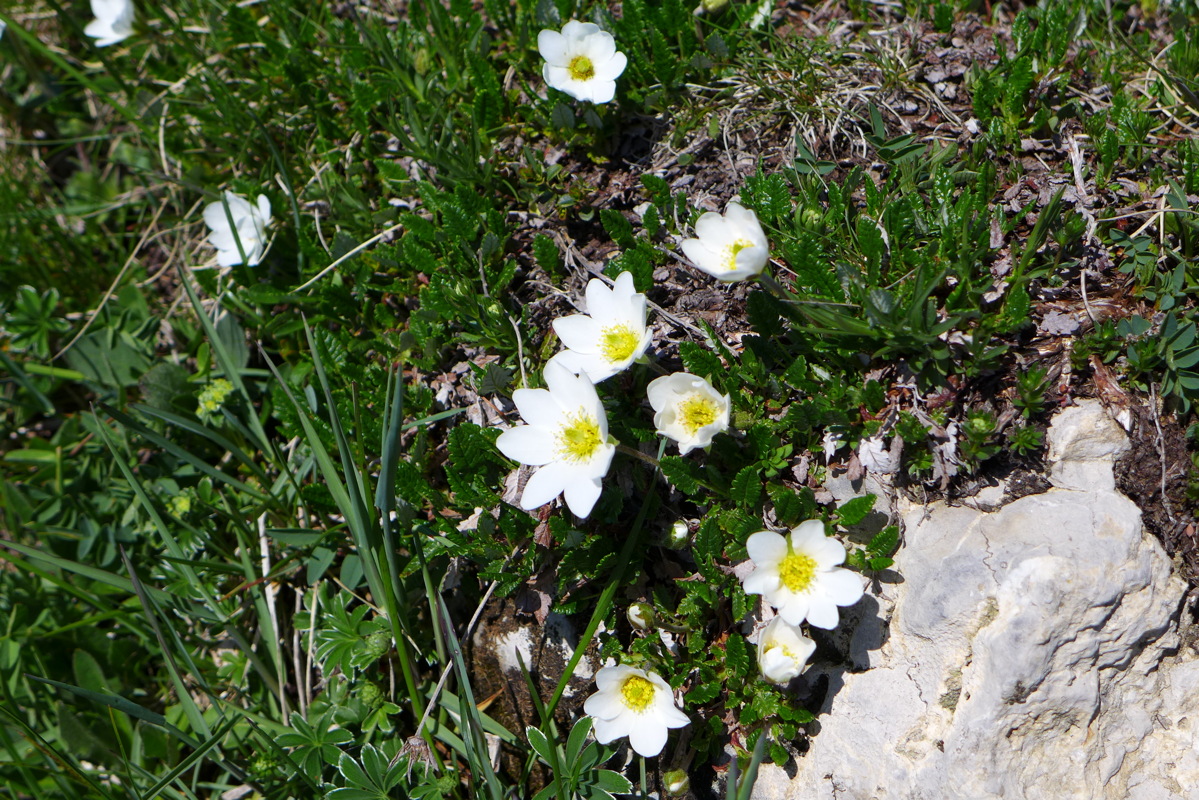 p1050200.jpg