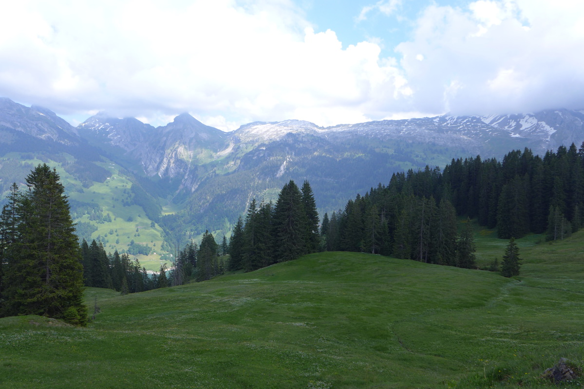 p1050210.jpg