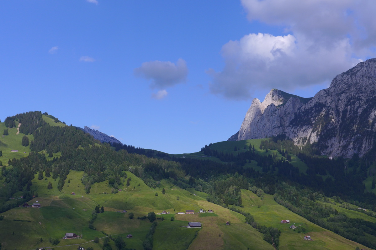 p1050219.jpg