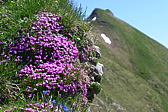 p1050198.jpg