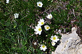 p1050200.jpg